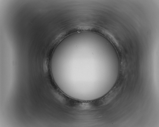 X0000116380114200912021527
