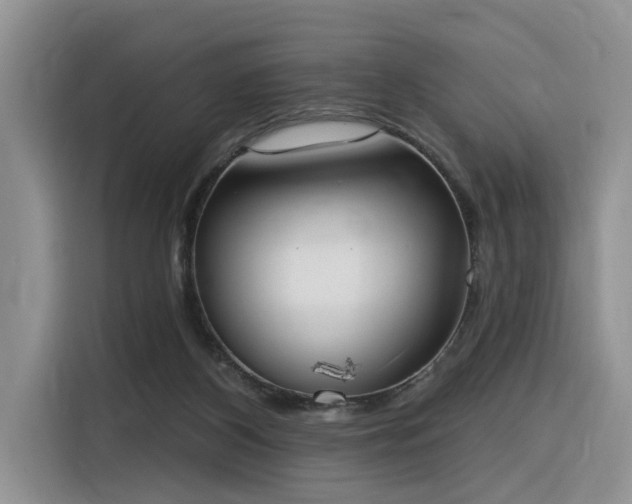X0000116380116200912021527