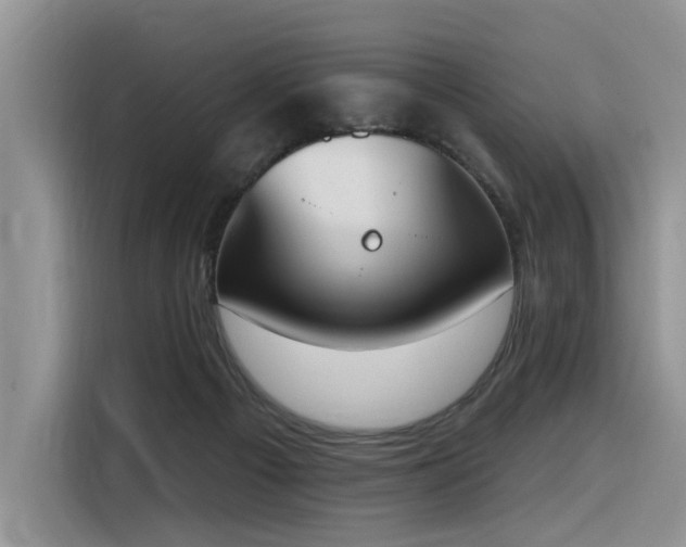 X0000116380121200912021527