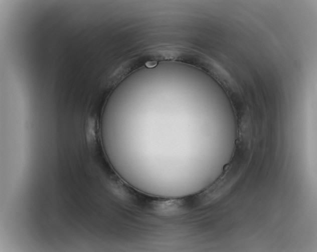 X0000116380122200912021527