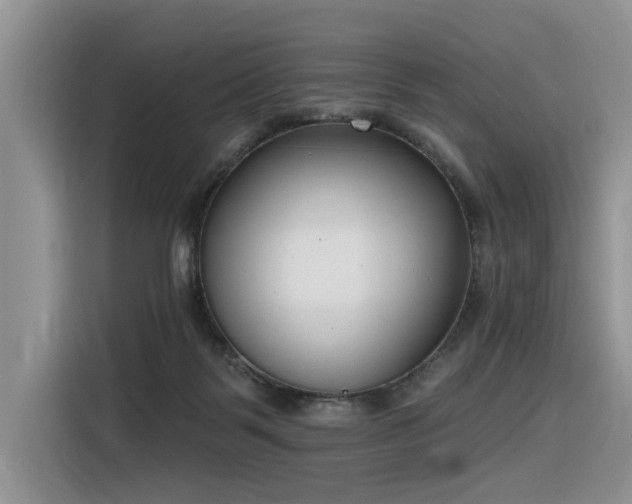 X0000116380123200912021527