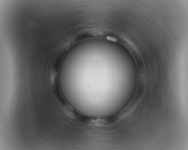 X0000116380125200912021527