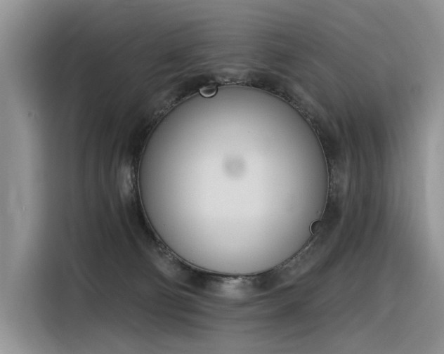 X0000116380130200912021527