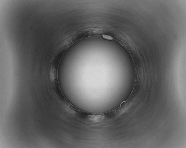 X0000116380135200912021527