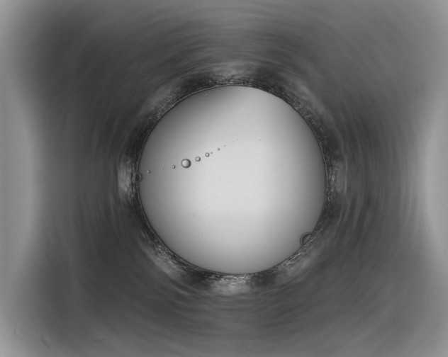 X0000116380138200912021527