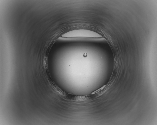 X0000116380141200912021527