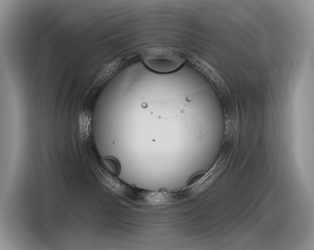 X0000116380142200912021527