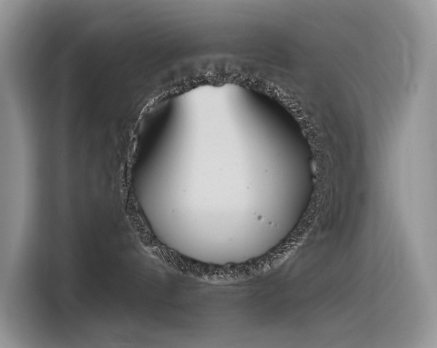 X0000116380144200912021527