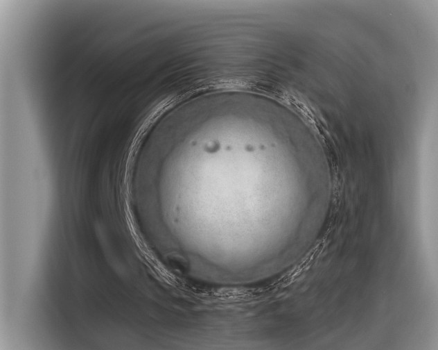 X0000116380145200912021526