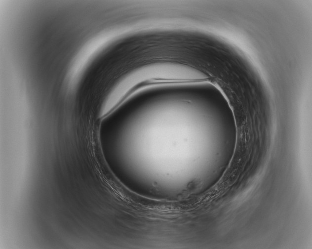 X0000116380146200912021526