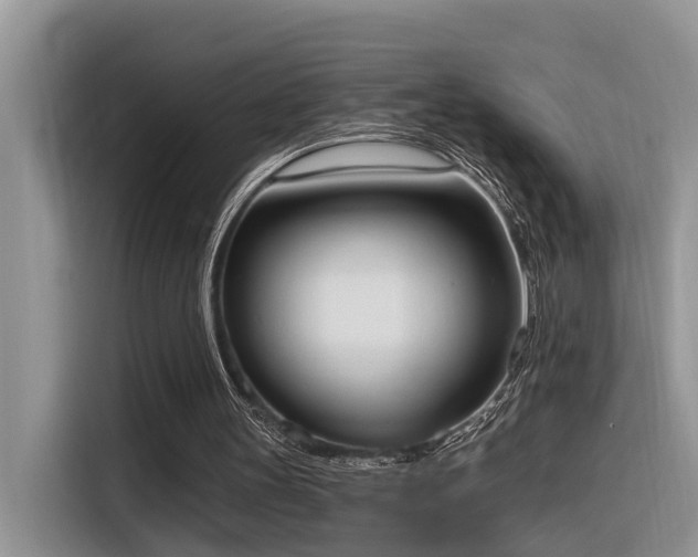 X0000116380147200912021526