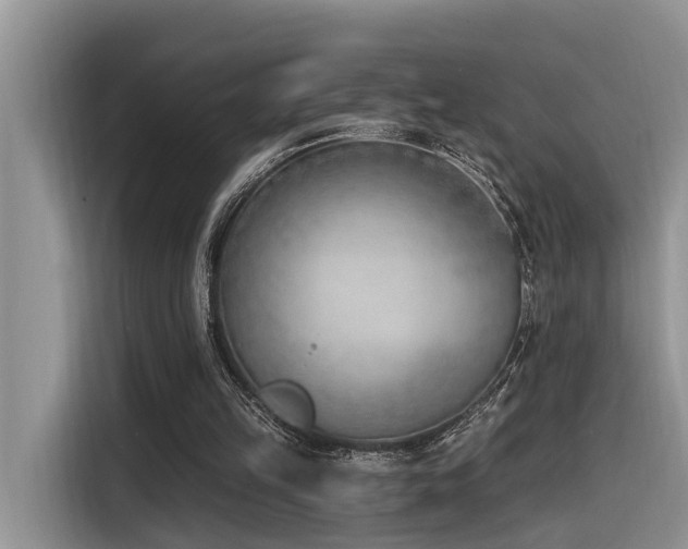 X0000116380149200912021526