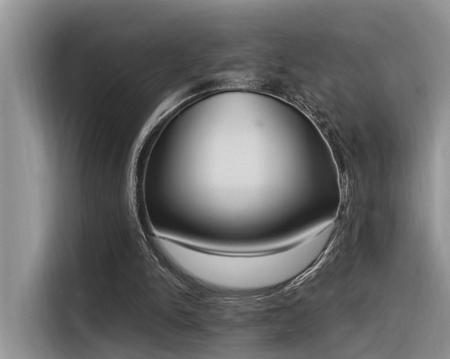 X0000116380150200912021526