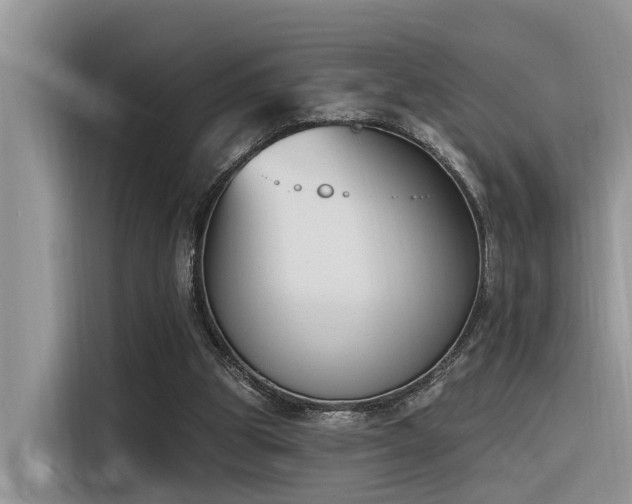 X0000116380153200912021526