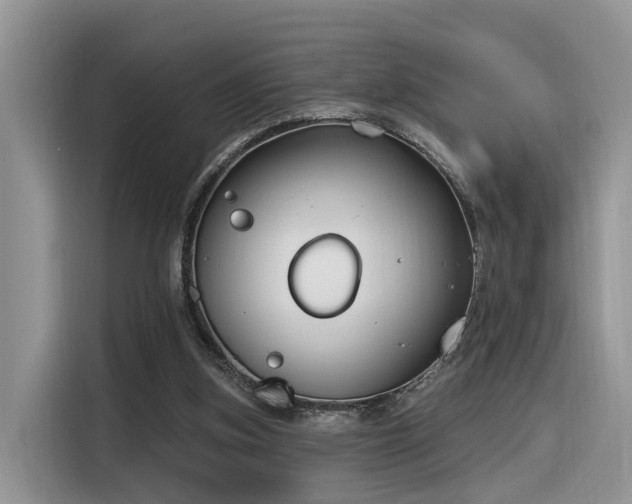 X0000116380155200912021526