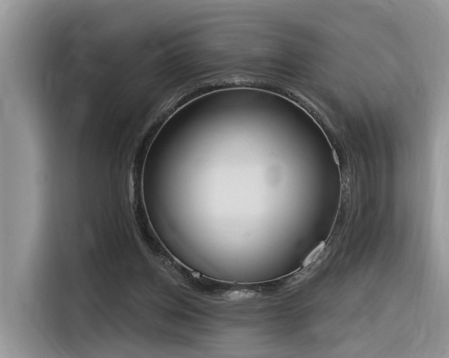 X0000116380158200912021526