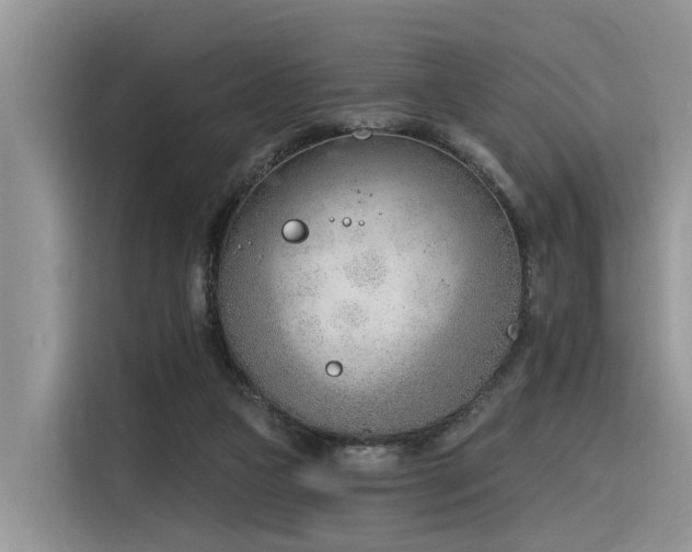 X0000116380161200912021527