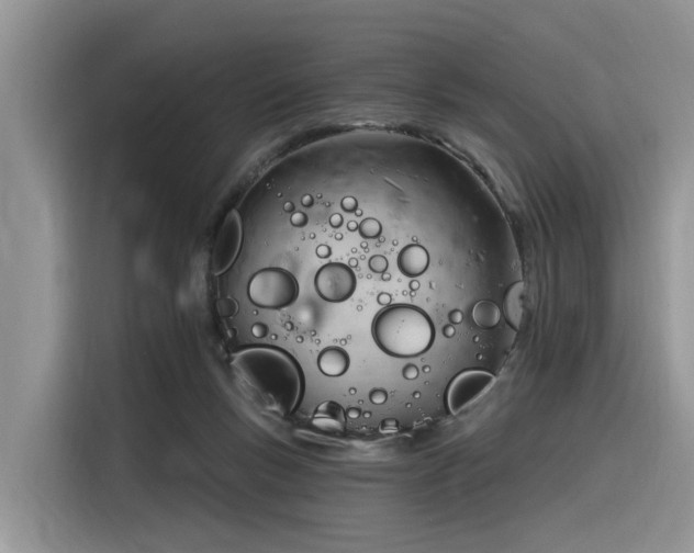 X0000116380167200912021527