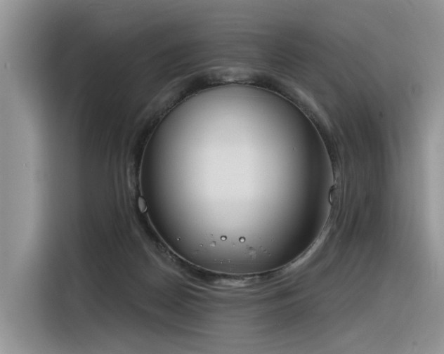 X0000116380170200912021527