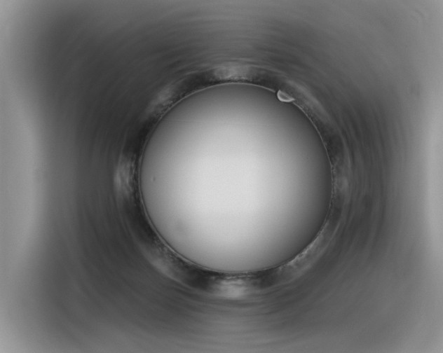 X0000116380171200912021527