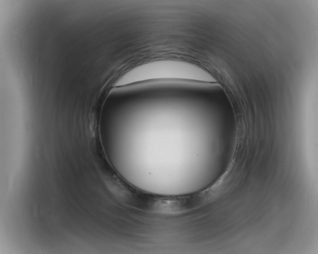 X0000116380174200912021527