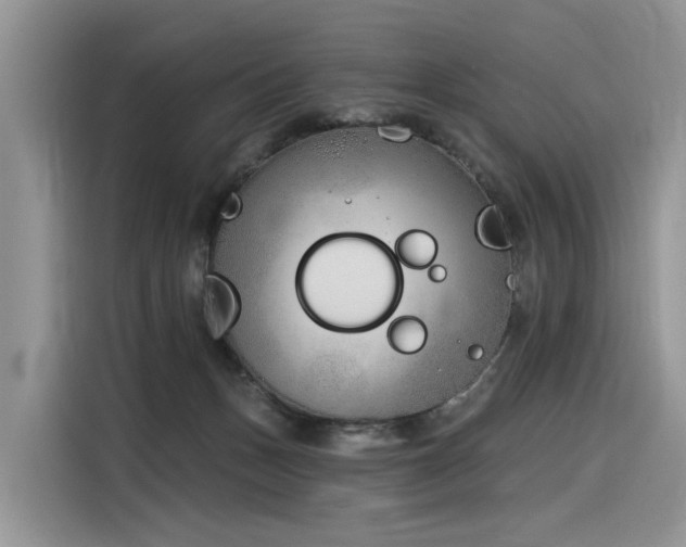 X0000116380175200912021527