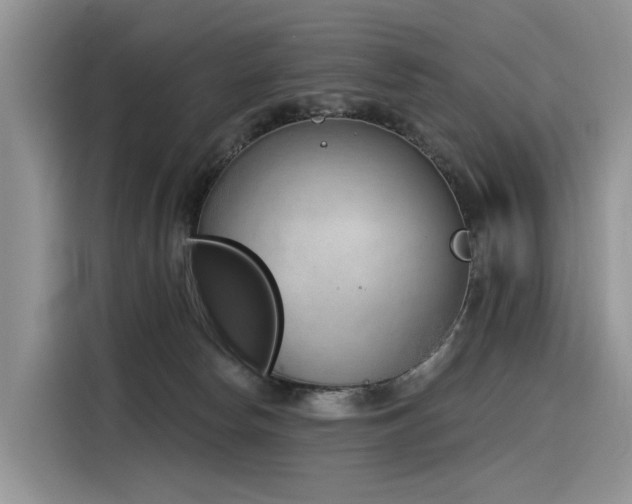 X0000116380178200912021527