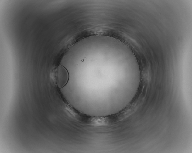 X0000116380181200912021527