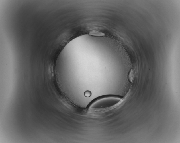 X0000116380182200912021527