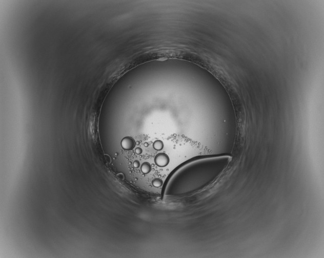 X0000116380185200912021527