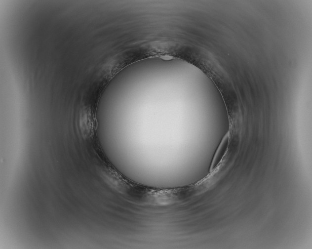 X0000116380186200912021527