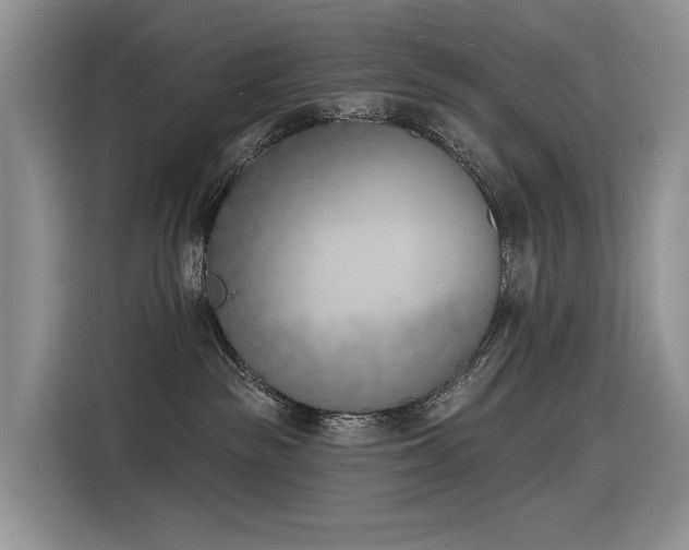 X0000116380189200912021527