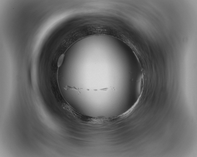 X0000116380190200912021527