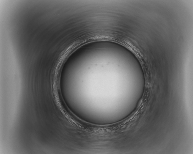 X0000116380193200912021526