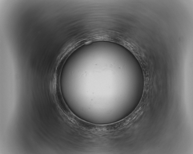 X0000116380194200912021526