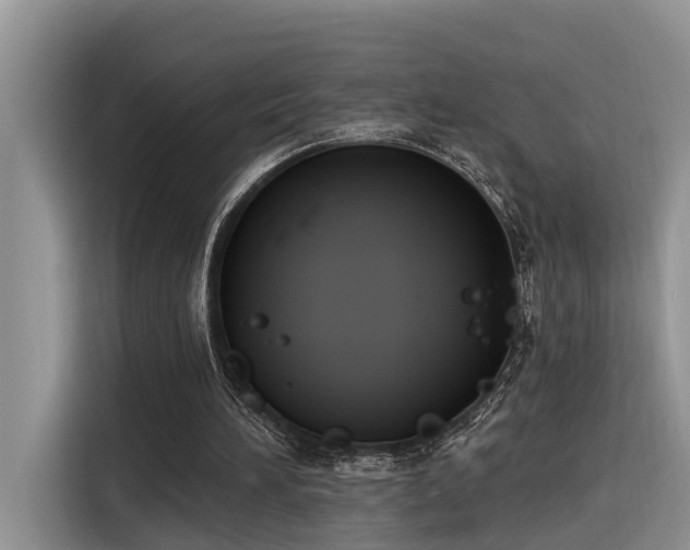 X0000116380196200912021526