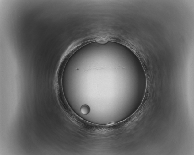 X0000116380198200912021526
