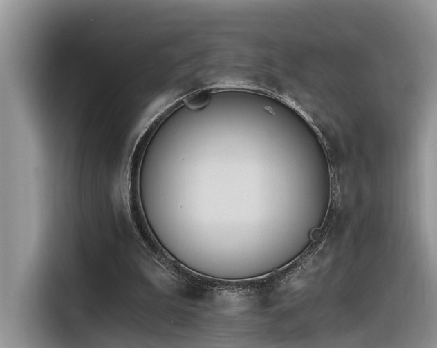 X0000116380199200912021526