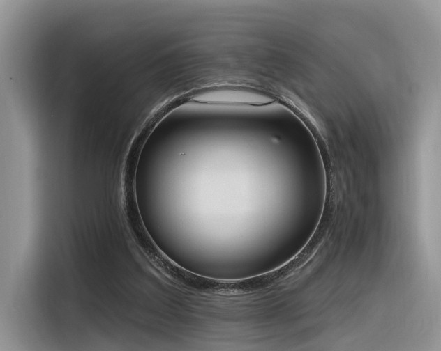 X0000116380203200912021526