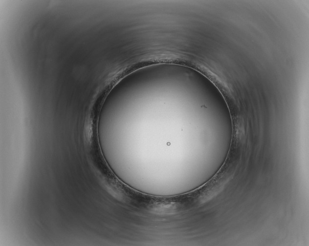 X0000116380206200912021526
