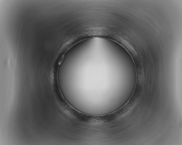 X0000116380207200912021526