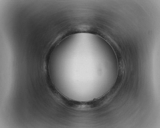 X0000116380212200912021526