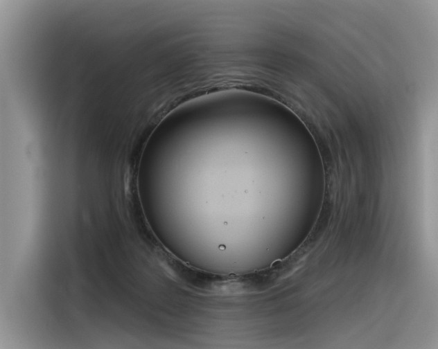 X0000116380219200912021526