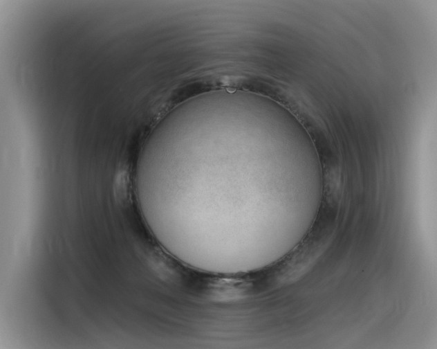X0000116380222200912021526