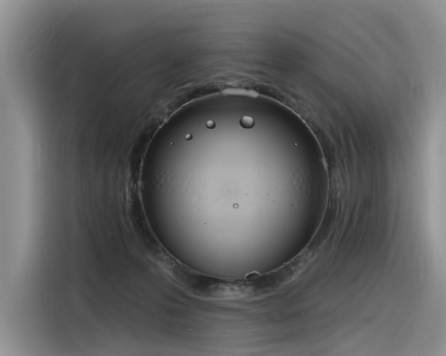X0000116380223200912021526