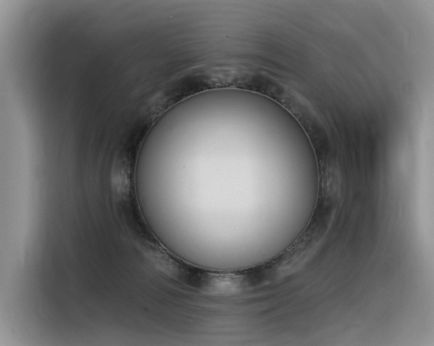 X0000116380226200912021526
