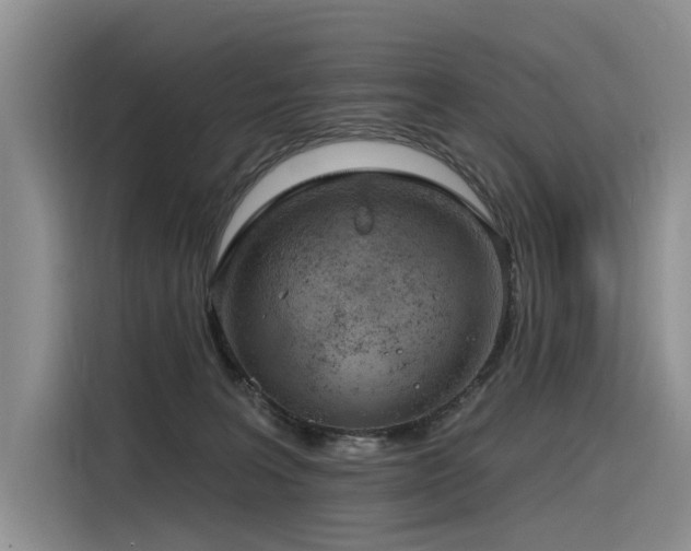 X0000116380227200912021526