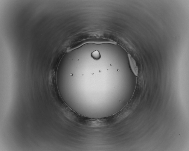 X0000116380229200912021526