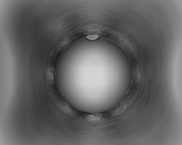 X0000116380232200912021526