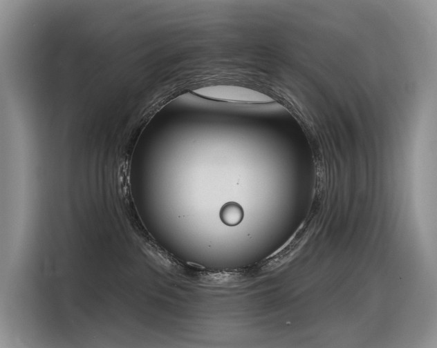 X0000116380237200912021526